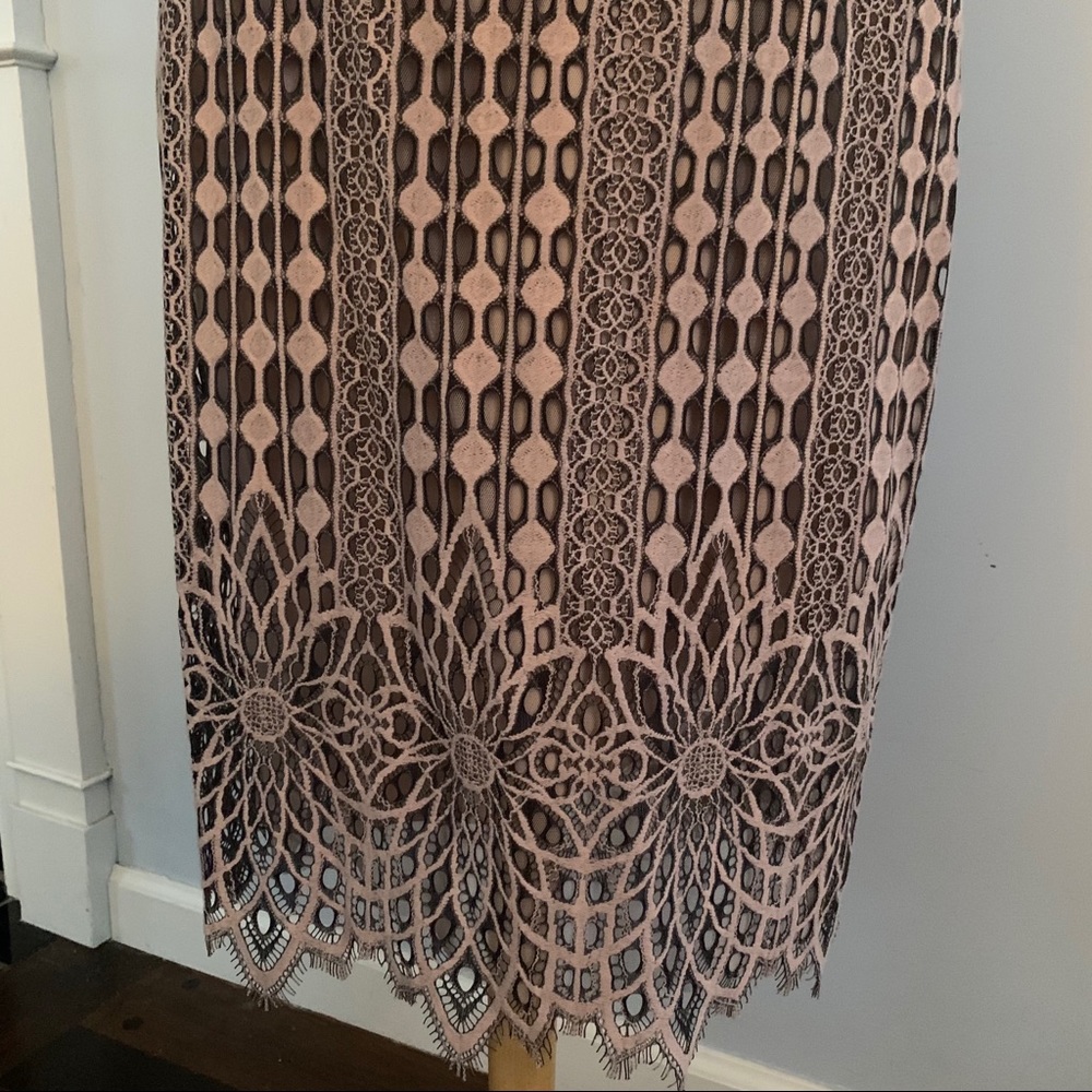 BCBG MaxAzria blush & black lace dress NEW nude - Picture 6 of 16